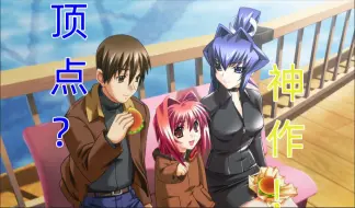 Download Video: 【gal杂谈】开坑muv-luv，两万部的顶点是否依旧巅峰