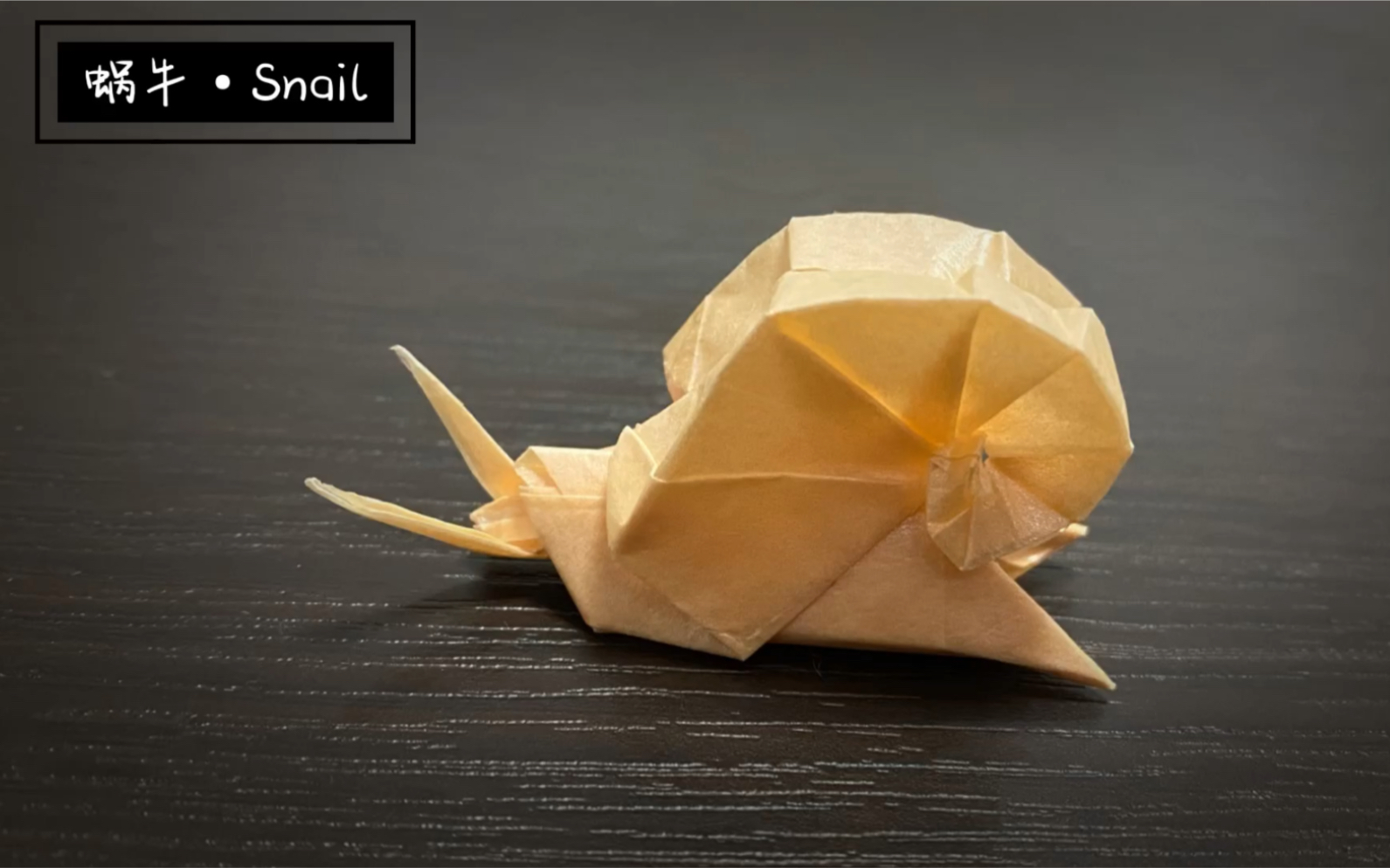 蜗牛折纸教程图片