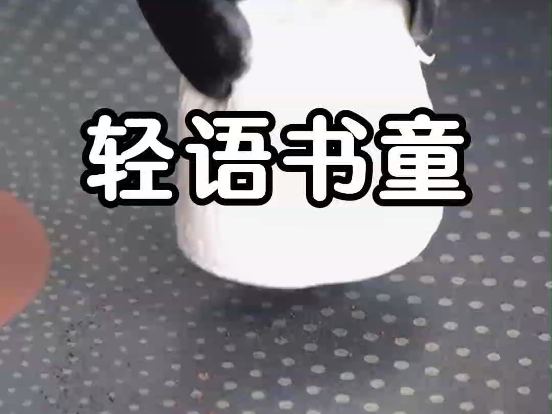 轻语书童哔哩哔哩bilibili