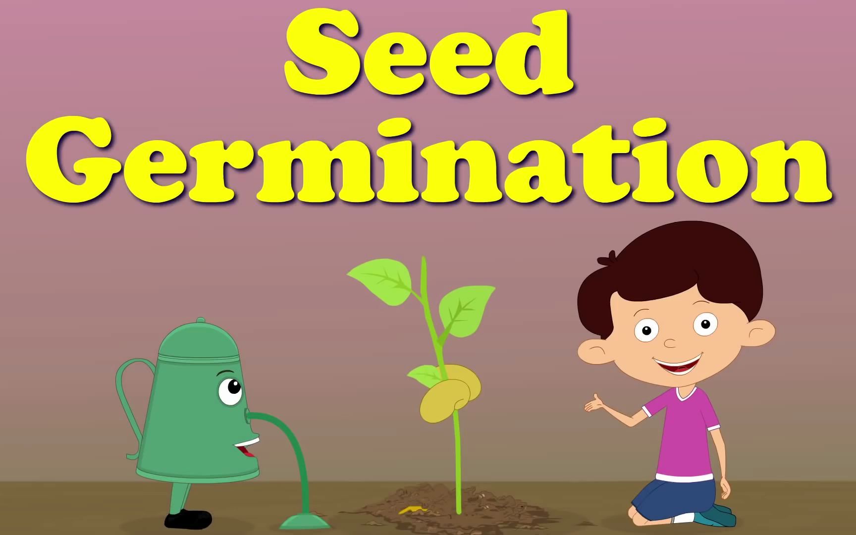 [图]Seed Germination