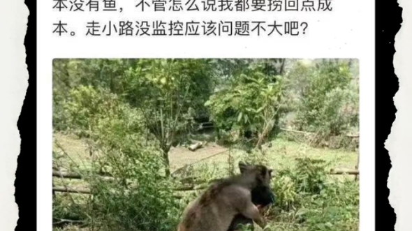 《晚归背牛图》哔哩哔哩bilibili