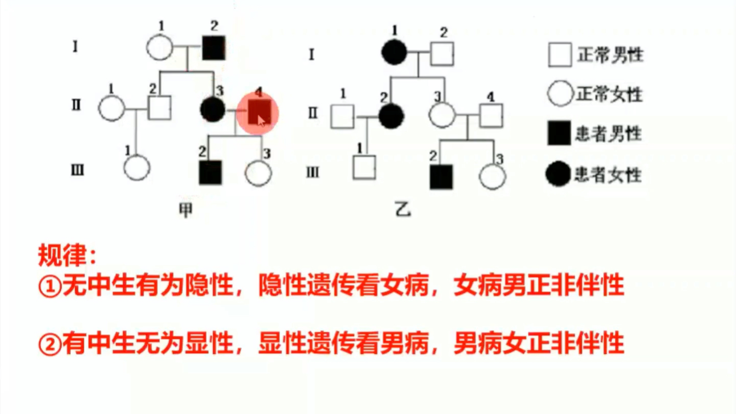 高中生物遗传方式的判断哔哩哔哩bilibili