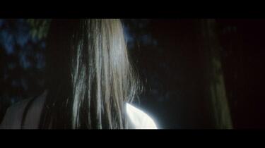 ≠ME （ノットイコールミー）_『誰もいない森の奥で一本の木が倒れたら