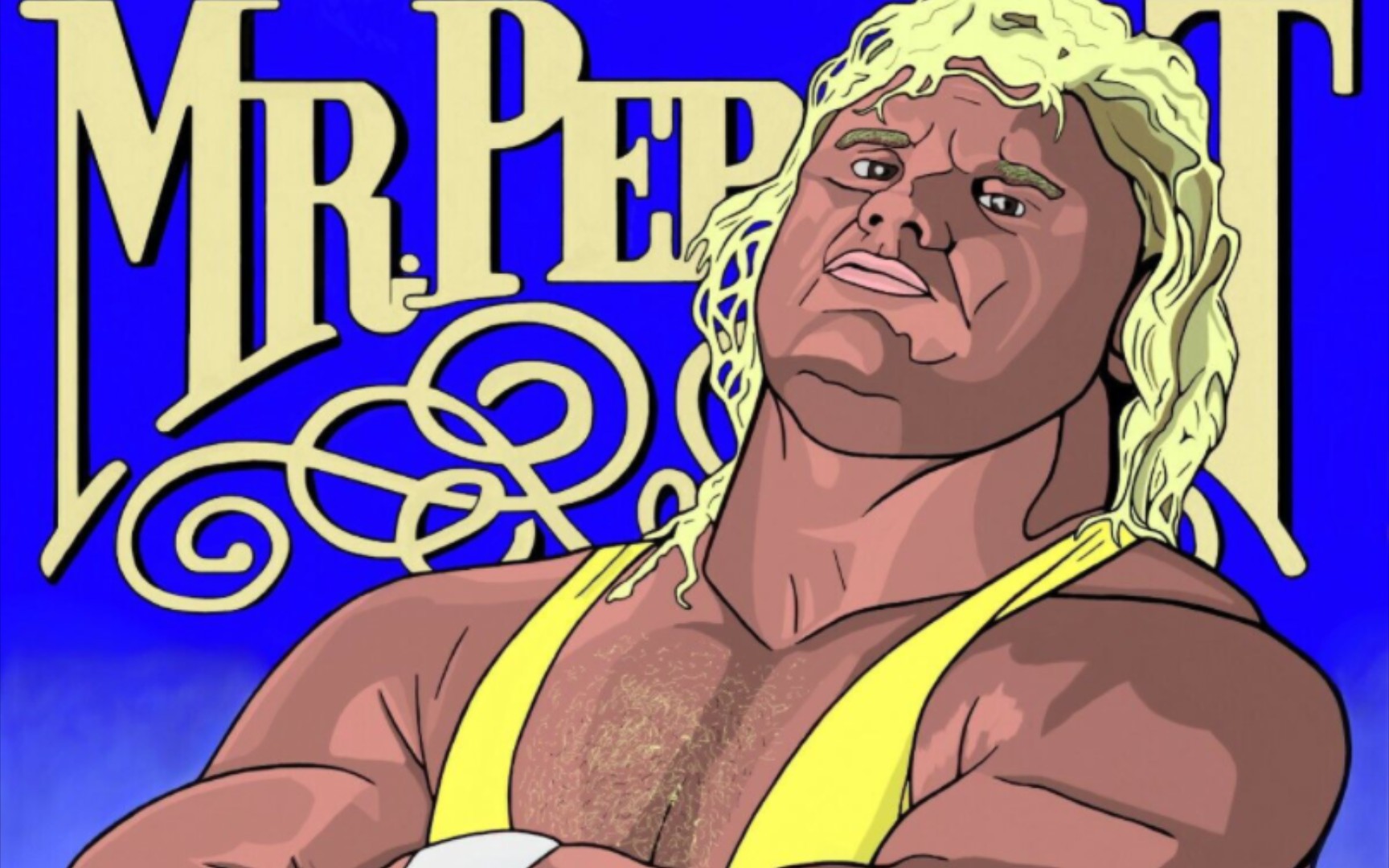 wwe完美先生职业生涯