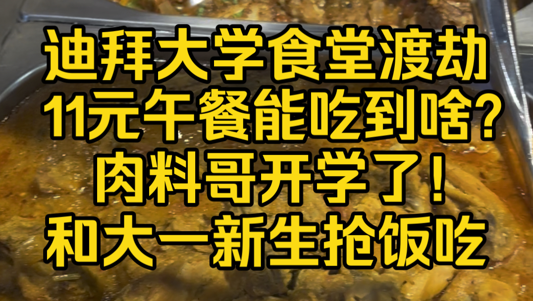 迪拜大学食堂11元午餐能吃到啥?和大一新生抢饭吃了哔哩哔哩bilibili