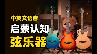 Скачать видео: 宝宝启蒙认知🎻认识各种乐器弦乐吉他视频🎸中英文发音