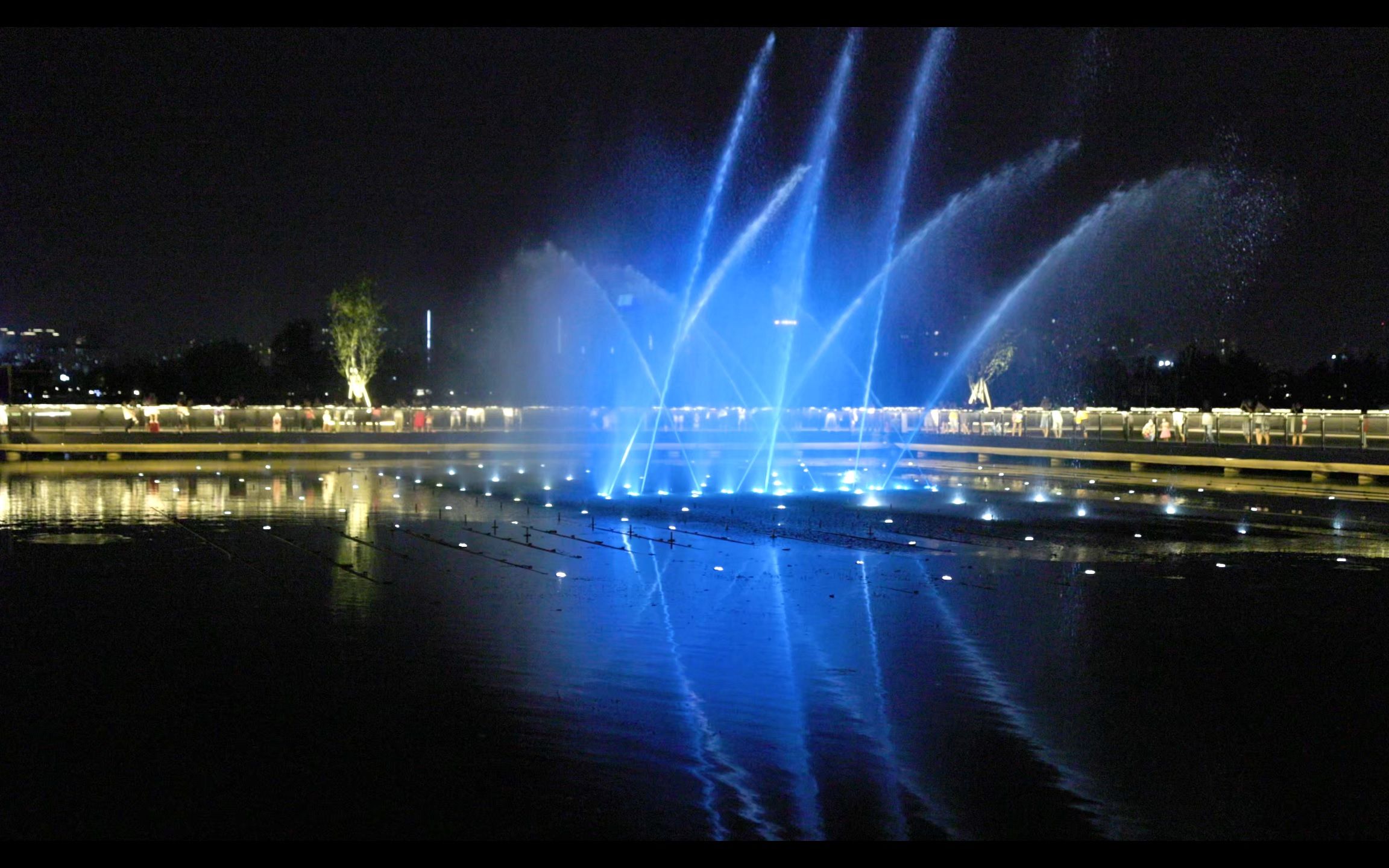 [图]上海之鱼-奉贤博物馆-音乐喷泉夜景-周深-大鱼海棠