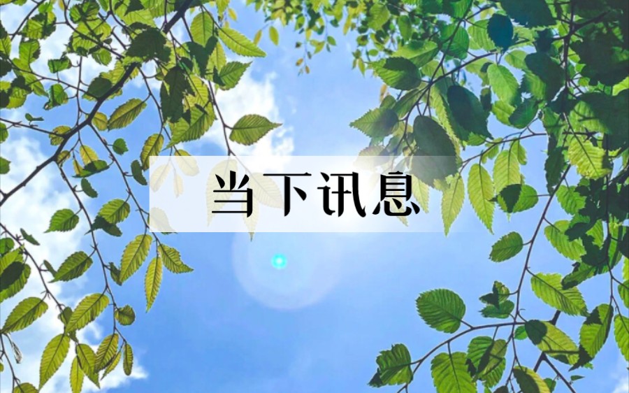 【樱月】当下讯息.哔哩哔哩bilibili