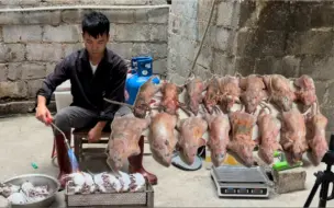 Скачать видео: 田地里老鼠偷吃太疯狂！军仔将它们驱除赚钱，一晚上狂赚900多元