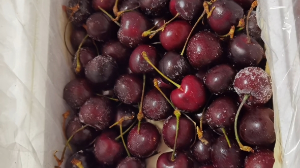 冻的车厘子吃过没