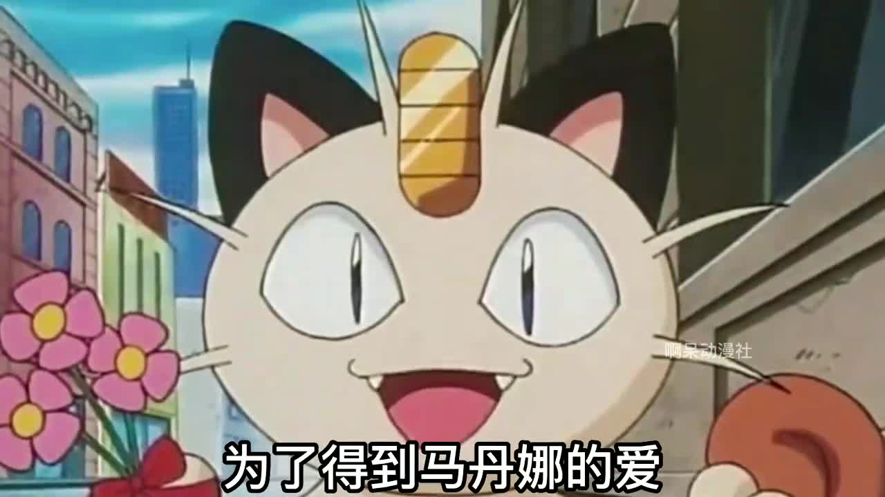 宝可梦:火箭队喵喵的治愈喵生,出生便被抛弃,为了爱情学会人语