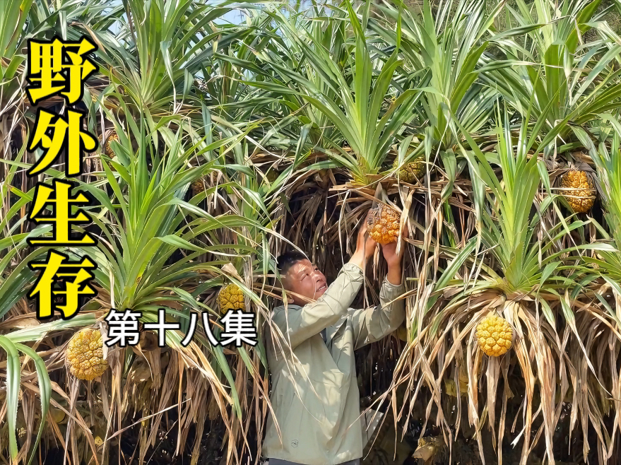 野外生存|第十八集|通过拾荒收集到不少材料,并二次利用制作成八个进鱼口的大号鱼笼,收获几十只螃蟹哔哩哔哩bilibili