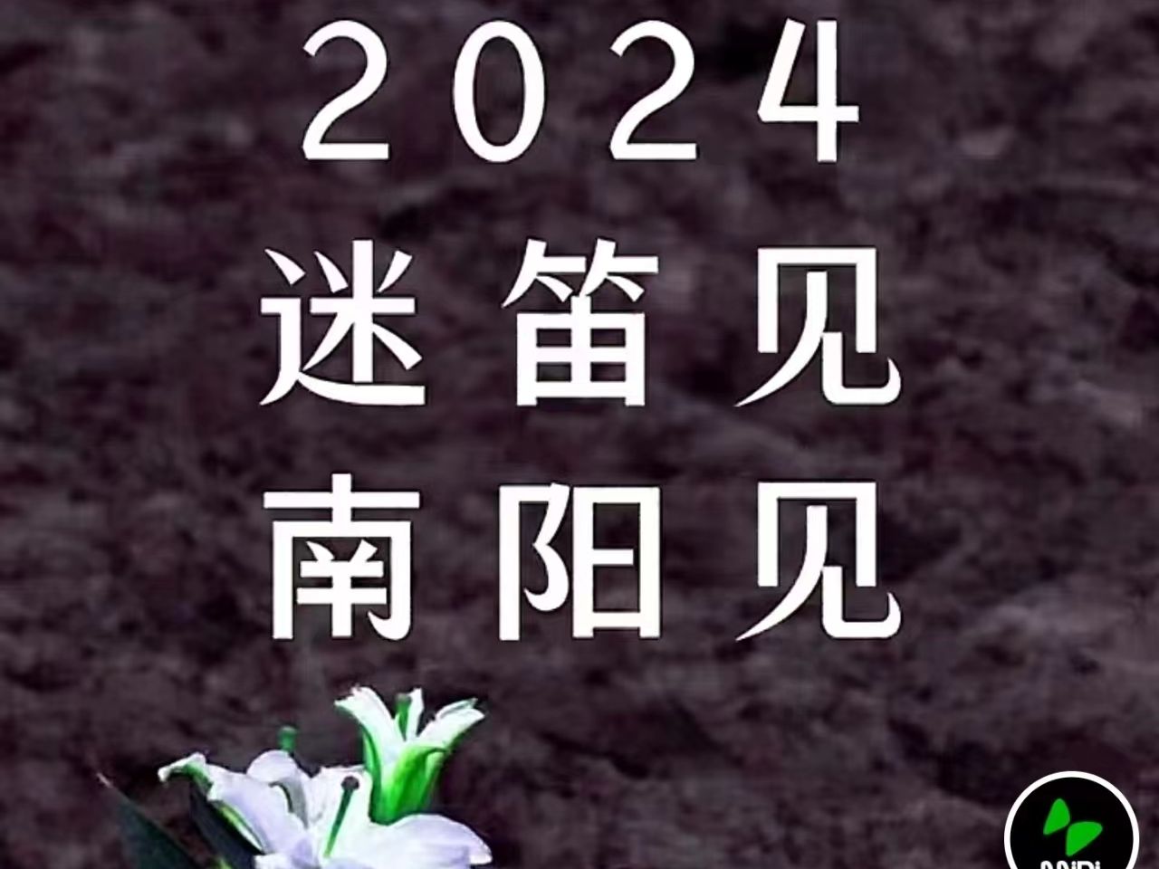 2024南阳迷笛音乐节官宣,我的2023迷笛日记哔哩哔哩bilibili