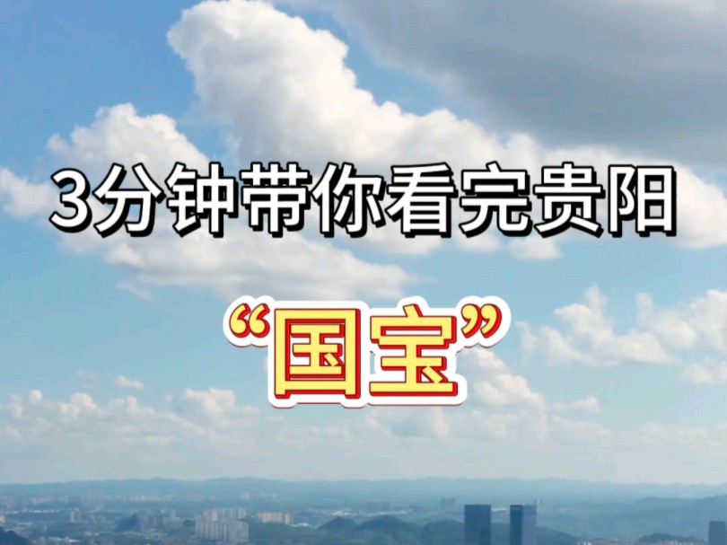 3分钟带你看完贵阳“国宝”哔哩哔哩bilibili