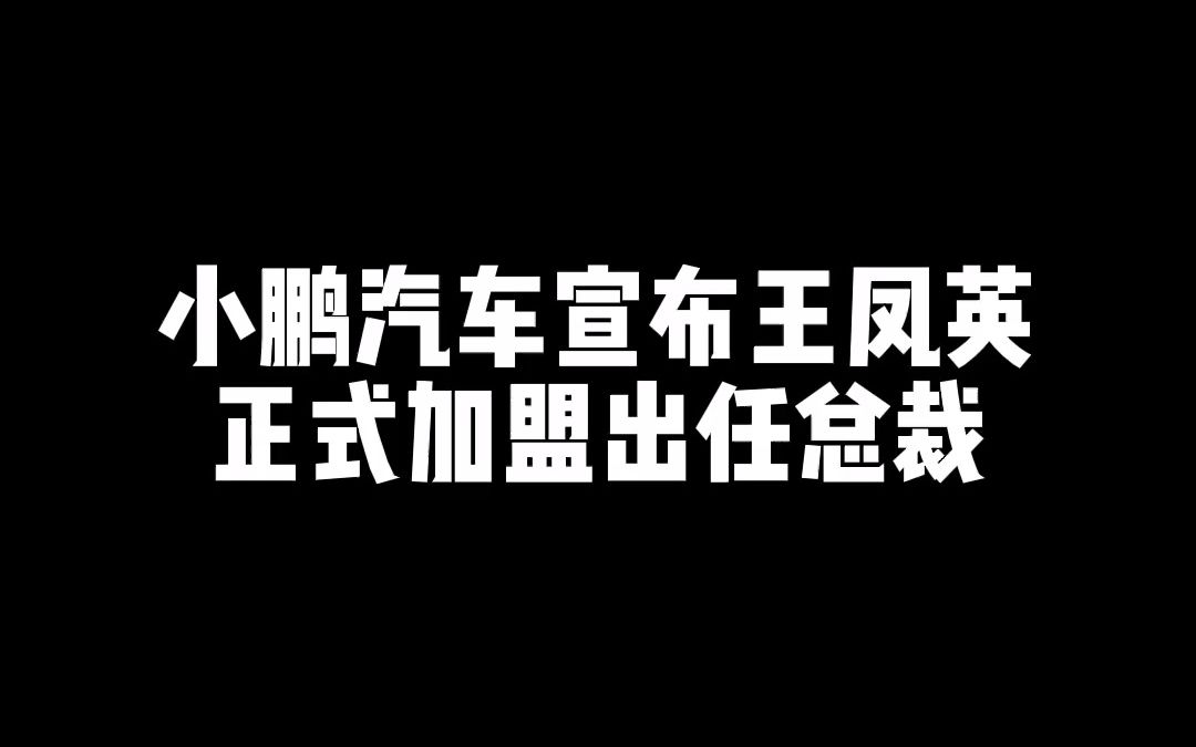 小鹏汽车官宣王凤英任公司总裁哔哩哔哩bilibili