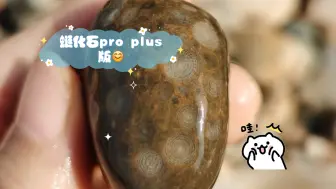 Download Video: 【南京雨花石】蜓化石pro plus版😊