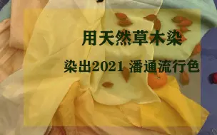 植物染色之栀子染 哔哩哔哩 つロ干杯 Bilibili