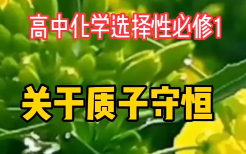 高中化学选择性必修1中水溶液中的离子平衡中存在质子守恒,而且是考试中的难点和热点哔哩哔哩bilibili