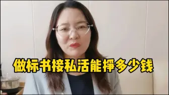 Download Video: 做标书接私活能挣多少钱