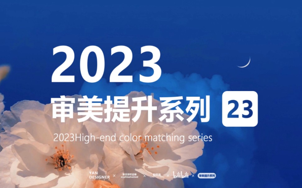 花与月高级感配色系列|sophia ahamed 23期