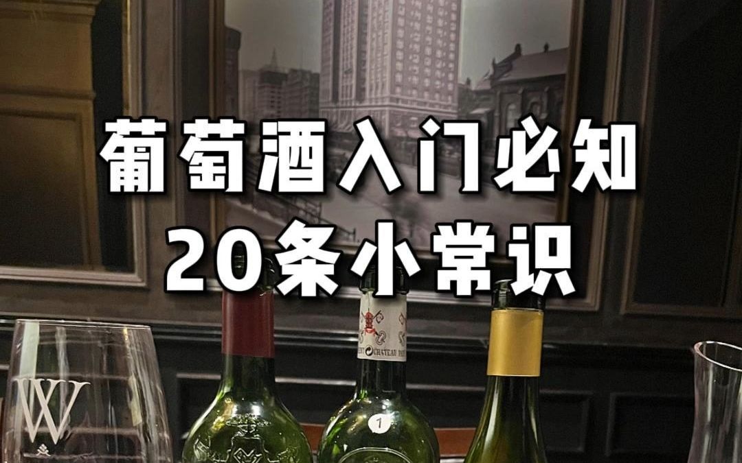 葡萄酒入门必知20个常识,3分钟轻松搞懂哔哩哔哩bilibili