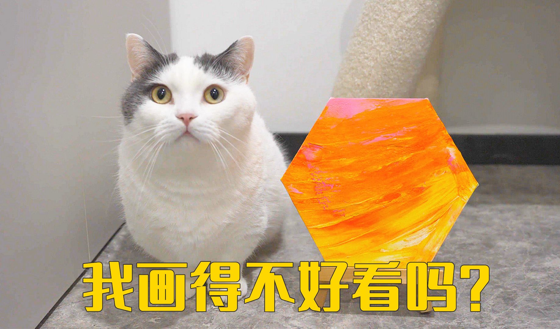 假如猫咪画画有段位,王者不愧是最好看的!哔哩哔哩bilibili