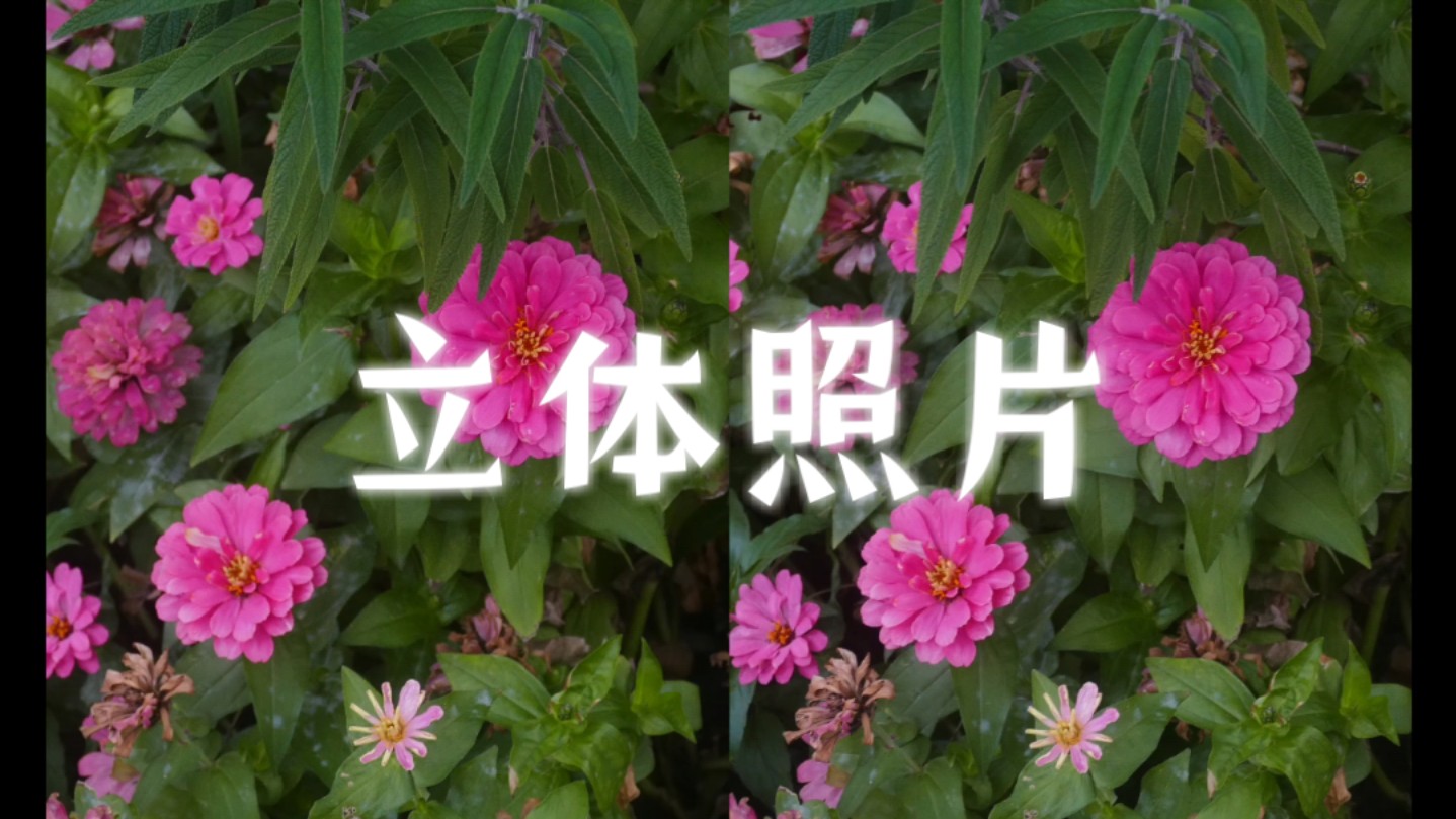 平行眼3D秋天的景色哔哩哔哩bilibili