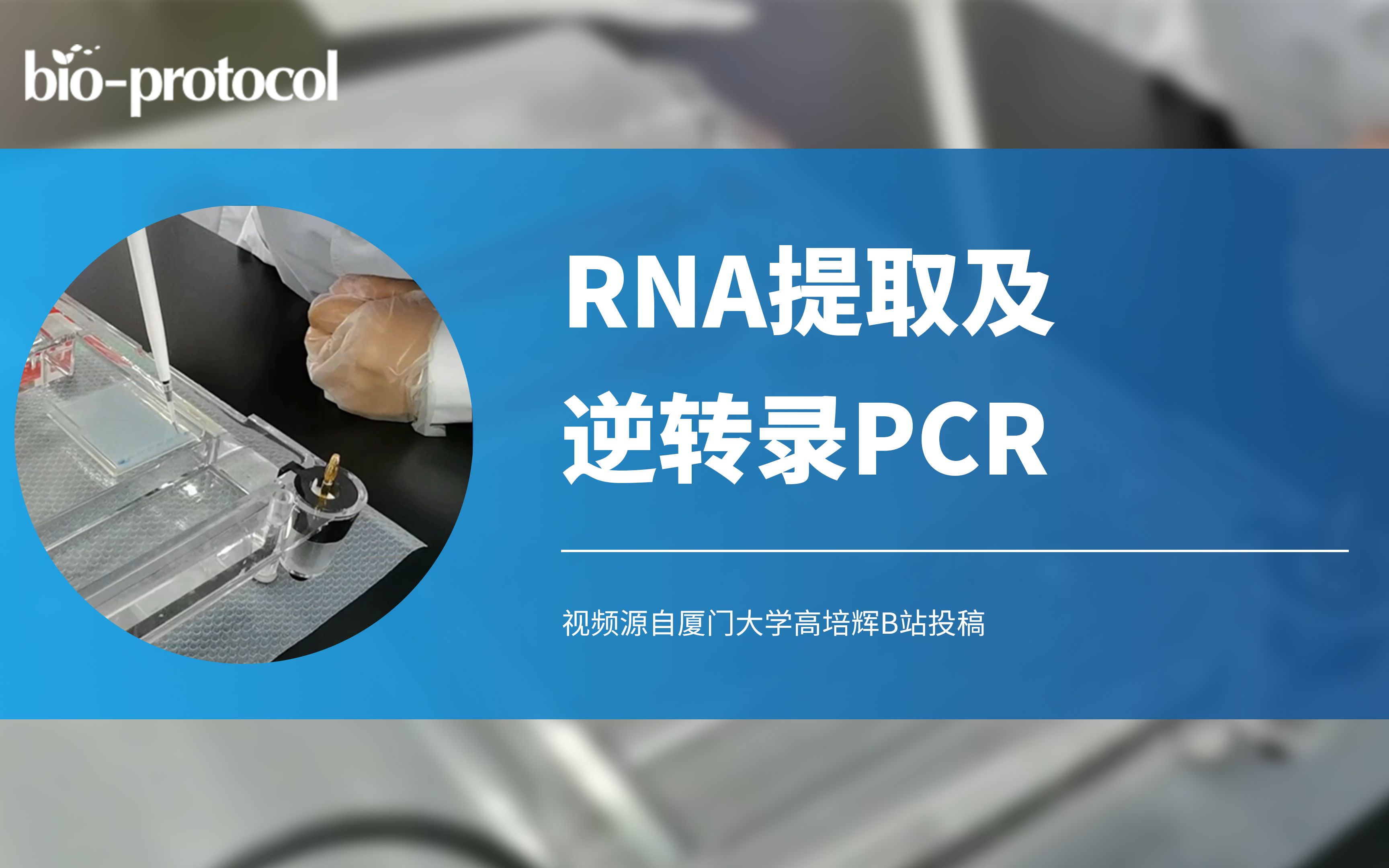 [图]【Bio-protocol】RNA的提取和逆转录PCR