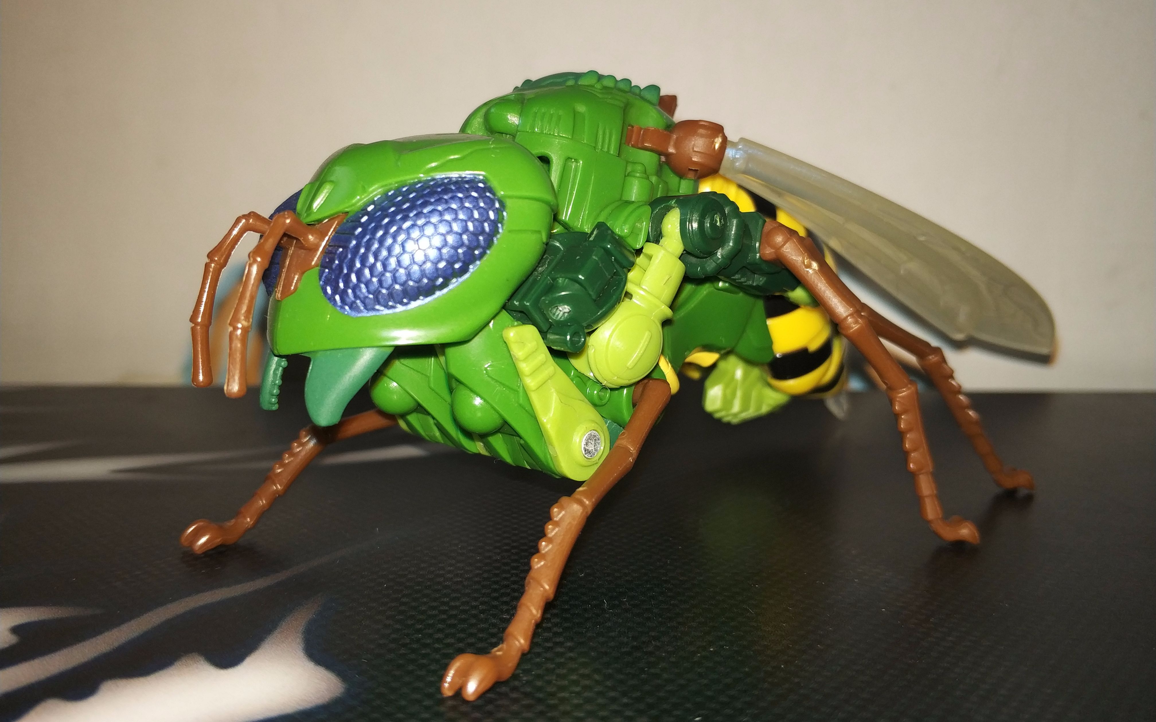 变形金刚idw加强级黄蜂勇士