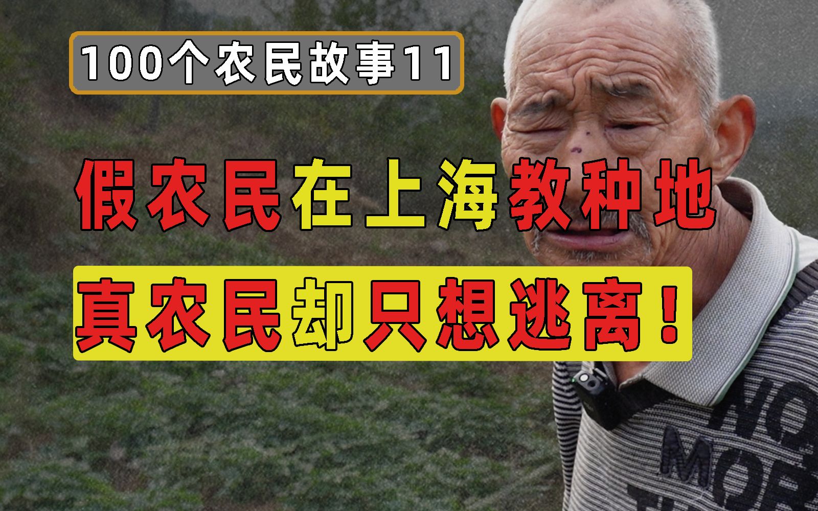 假农民在上海教孩子种地获百万播放,2亿真农民却只想逃离!【100个农民故事11】哔哩哔哩bilibili