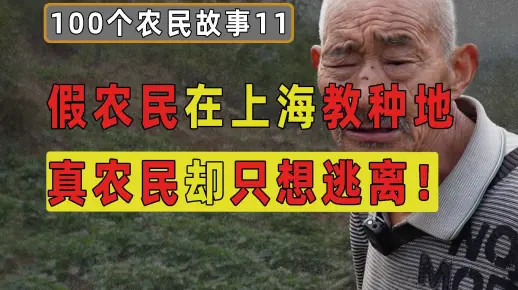 假农民在上海教孩子种地获百万播放，2亿真农民却只想逃离！【100个农民故事11】
