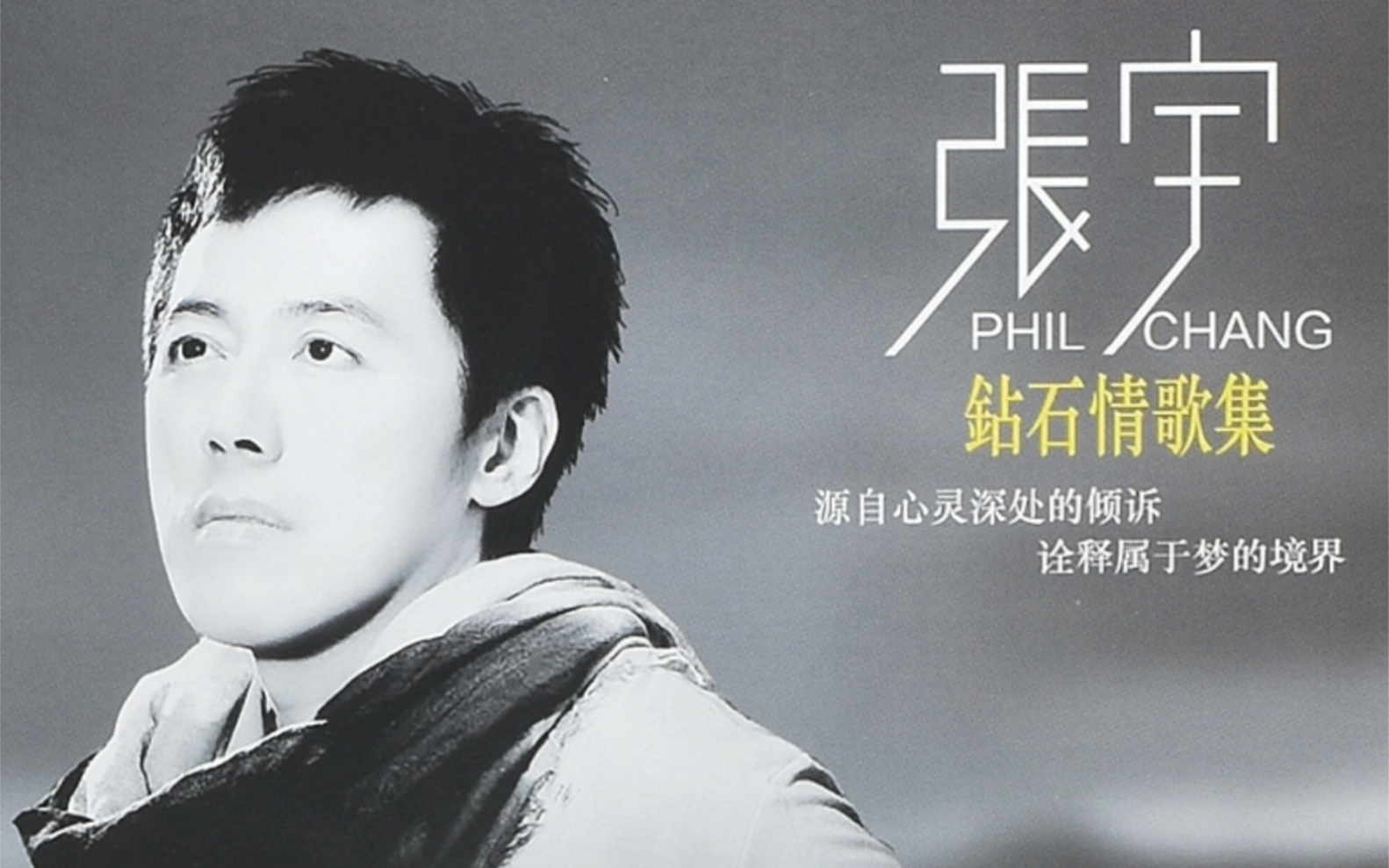 张宇 用心良苦 now you are gone 中英文版