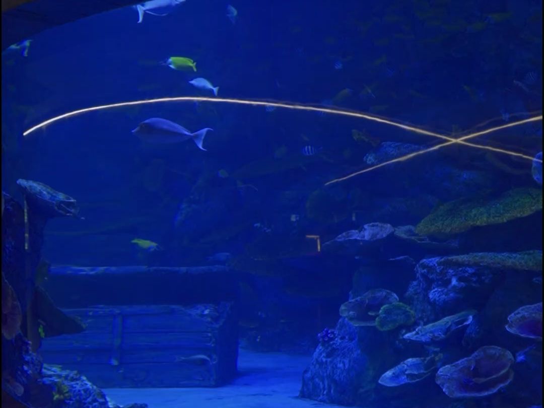 水族馆设计