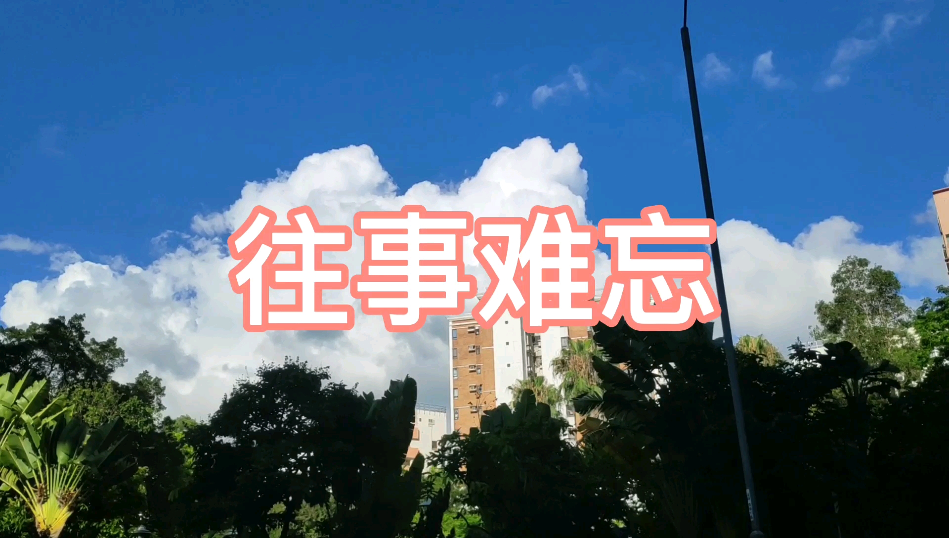 活动作品德式八孔竖笛往事难忘