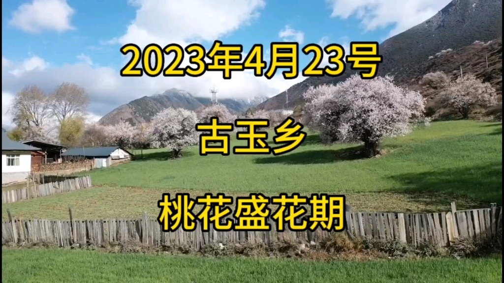 [图]2023年4月23号，梅里大环线第七天在察隅古玉乡，