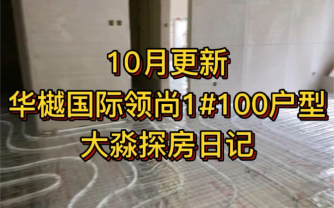 10月最新拍摄华樾国际领尚100户型施工现场!哔哩哔哩bilibili