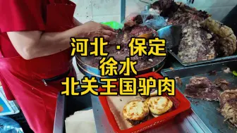 Descargar video: 哥俩探店 徐水王国驴肉