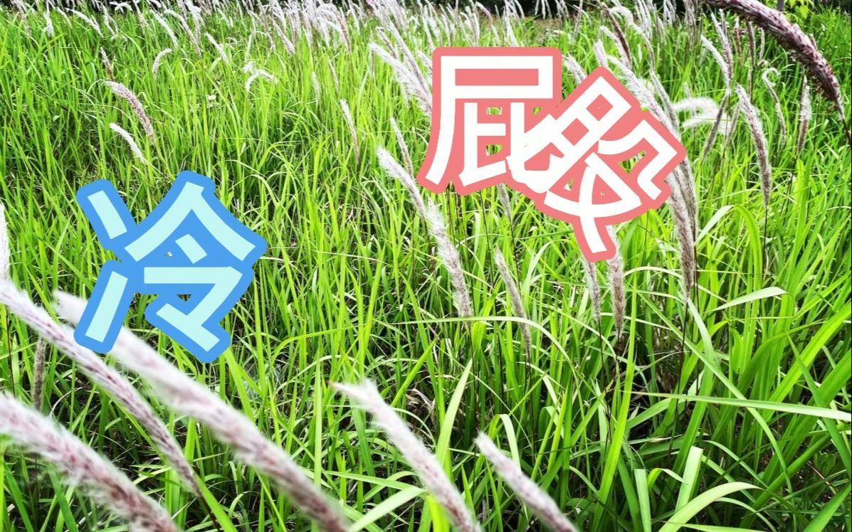 冷屁股-男人最好的医美