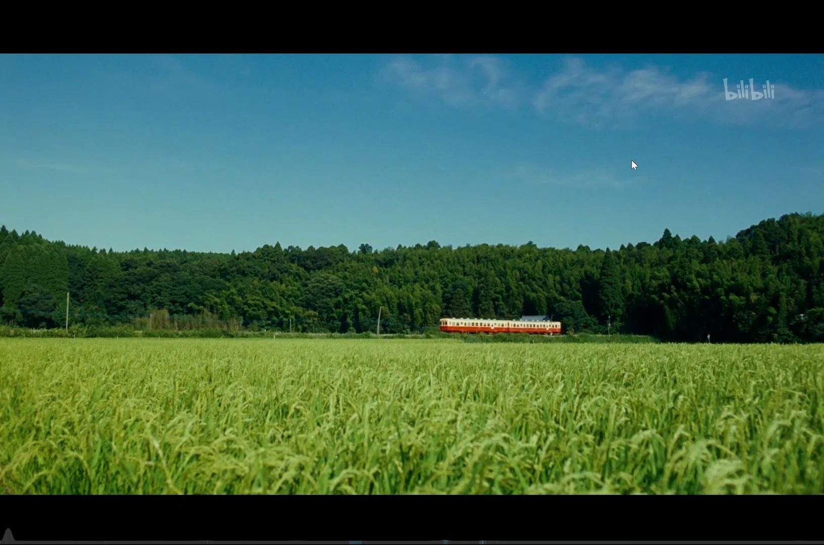 【是枝裕和】夏日印象/一个夏天该由多少元素构成!_哔哩哔哩_bilibili