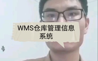 物流:为什么企业需要WMS仓库管理信息系统?哔哩哔哩bilibili