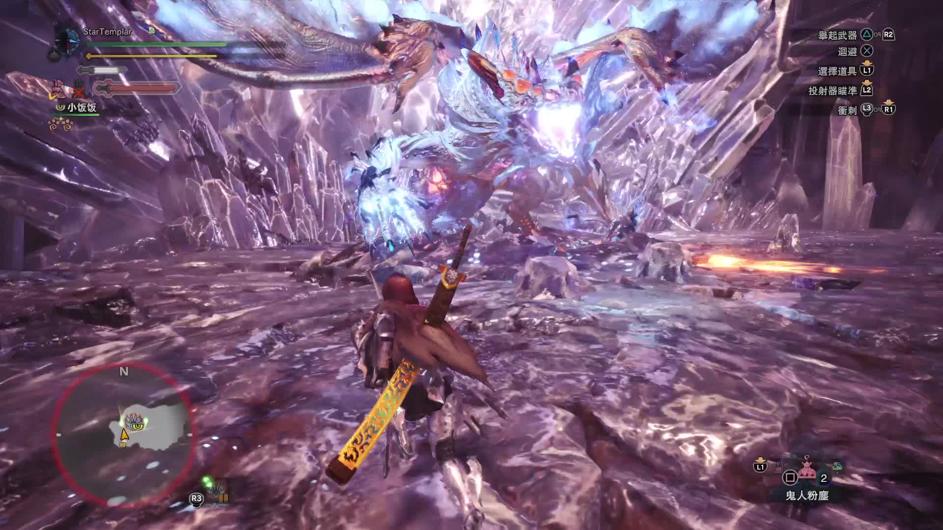 ps4 pro《怪物猎人:世界》力战王冥灯龙