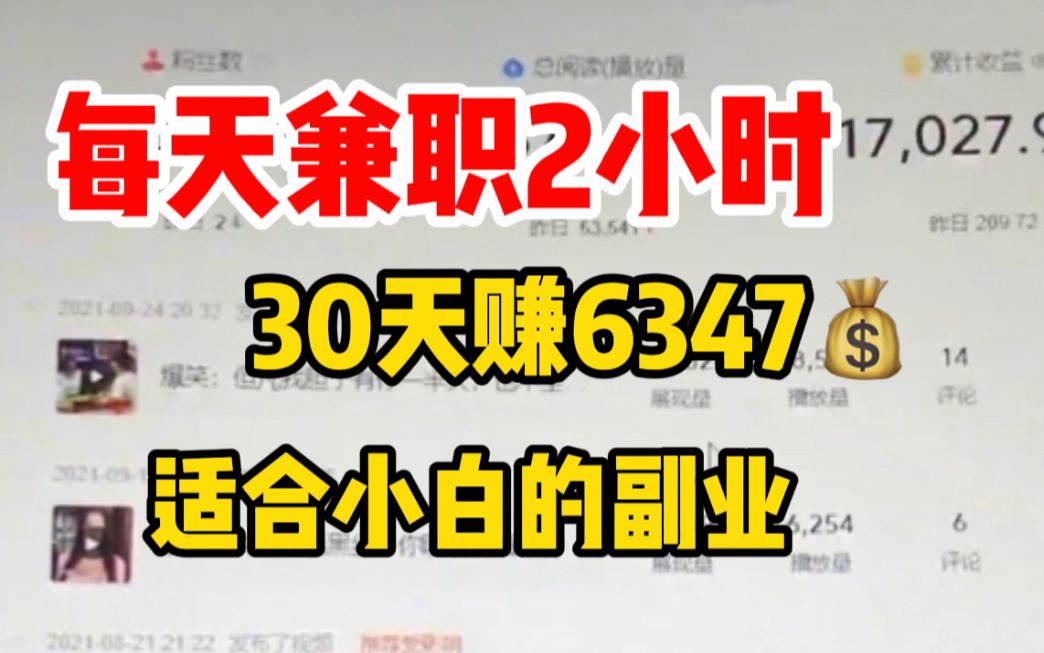 每天只需两小时间,30天收益6347,小白也能上手的兼职.哔哩哔哩bilibili