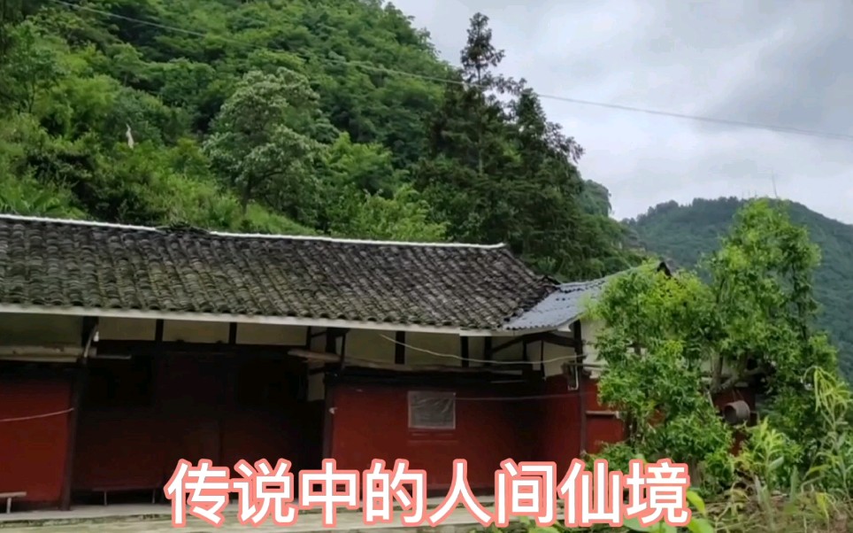 [图]贵州深山老林住着一户人家，深山里的一道清泉从他家门前经过。这难道是传说中的世外桃源。