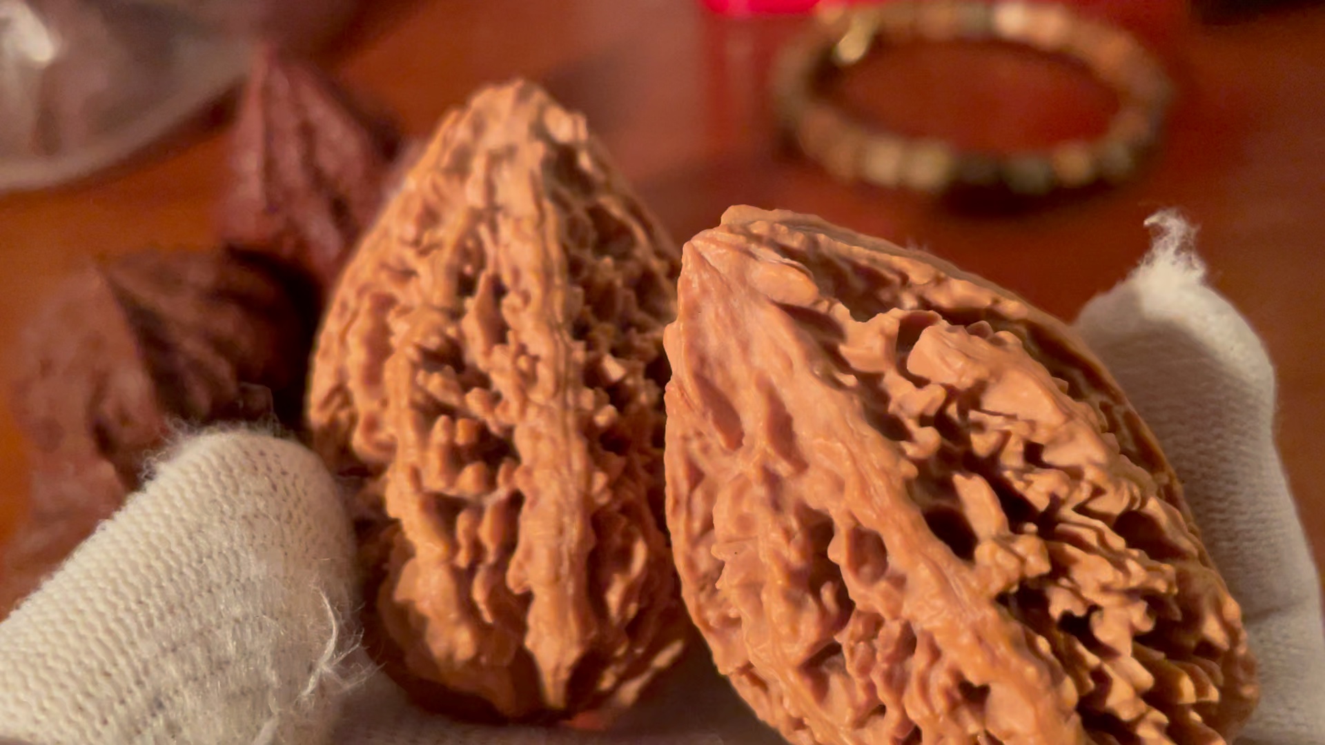 40g 的蚂蚁王 东北楸子