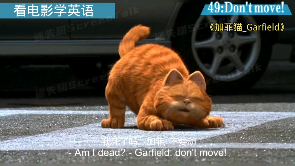 看电影学英语No.49:Don't move!不准动;别动;激情ⷮŠ别动;不许动;不要动.哔哩哔哩bilibili