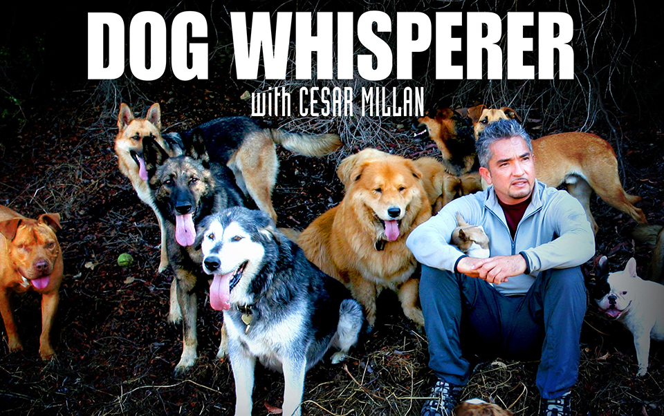 the horse whisperer马语者 - 资源合集 - 小不点搜索