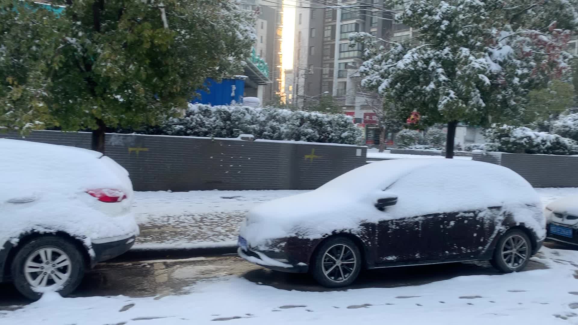 [图]水瓶哥踏雪归来~风雨送春归飞雪迎春到！