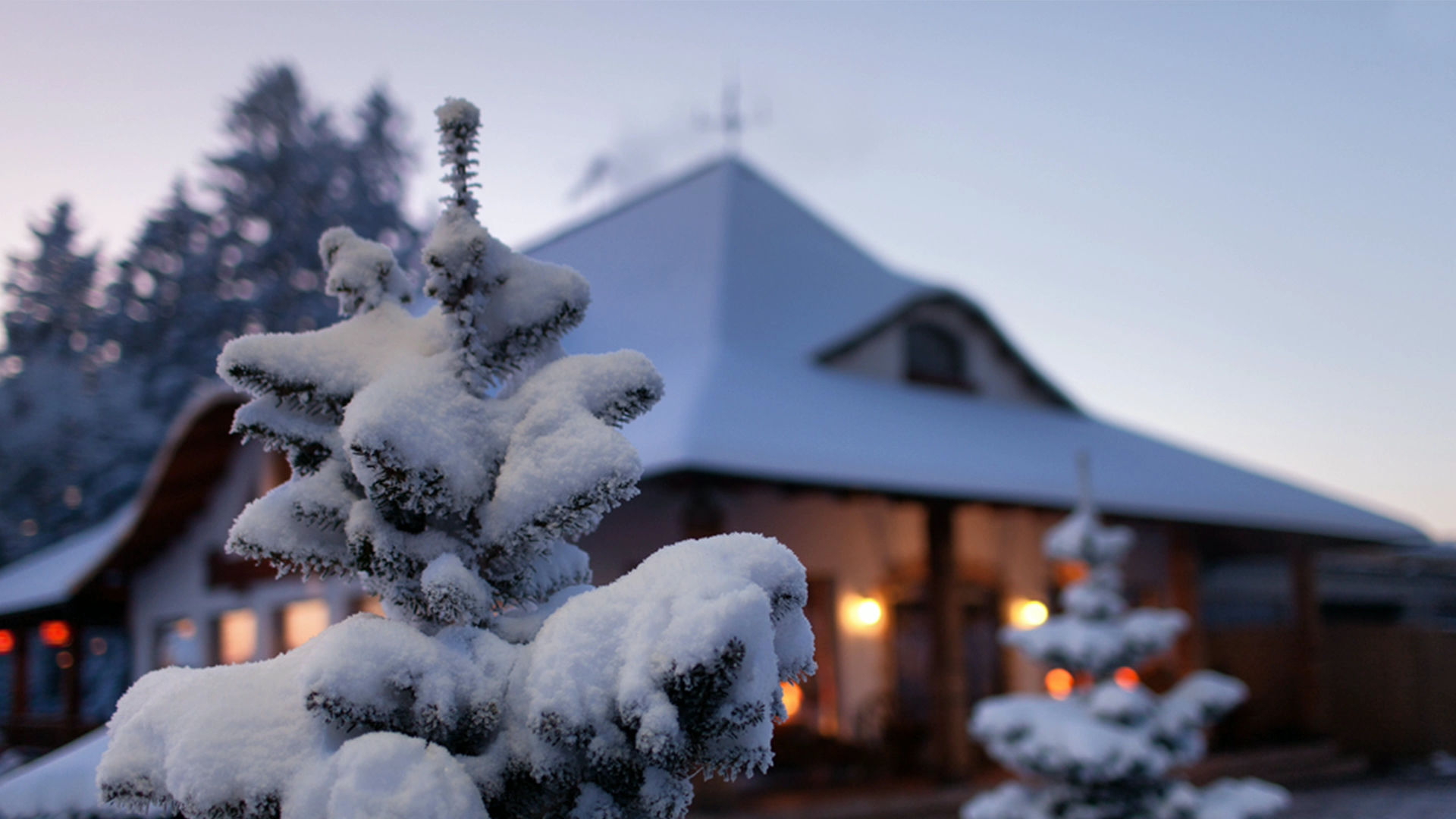 [图]小雪浪漫文学——刘著《鹧鸪天·雪照山城玉指寒》