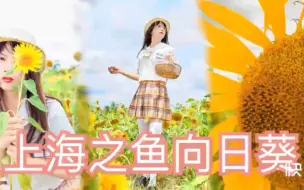 Download Video: 青衣女装的约拍日记———上海之鱼向日葵