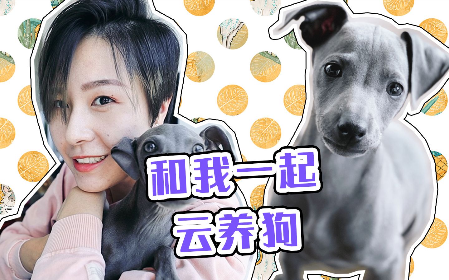 【养了世界上最可爱的狗】成为新手妈咪VLOG|养狗指南|教上厕所|打疫苗哔哩哔哩bilibili